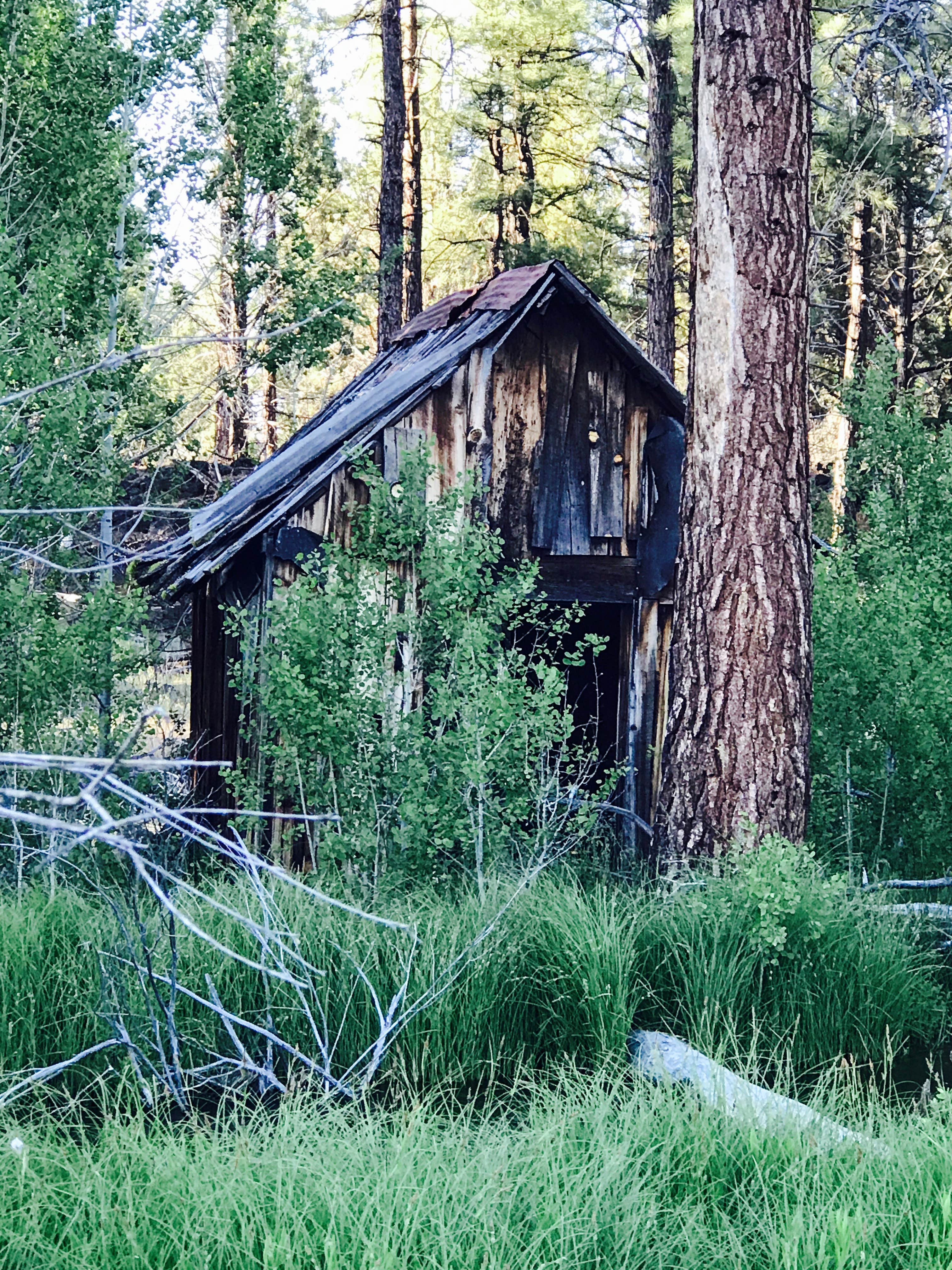 Camper-submitted photo at Shafter Campground near Dorris, CA