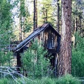 Review photo of Shafter Campground by Lacy M., May 17, 2019