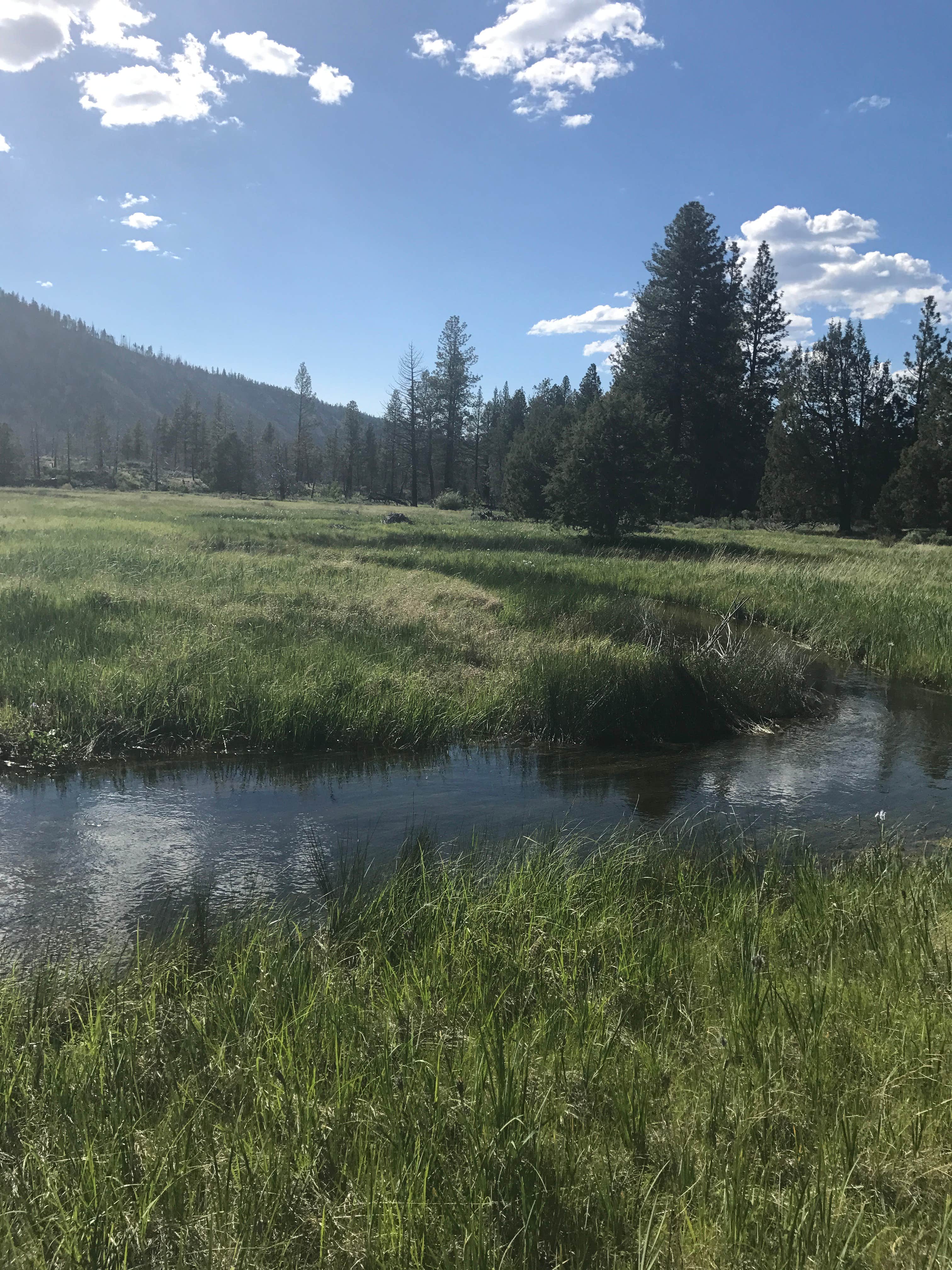 Camper-submitted photo at Shafter Campground near Dorris, CA