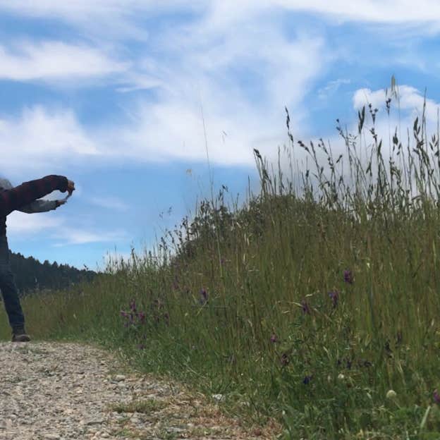 Sugarloaf Ridge State Park (operated by the Sonoma Ecology Center ...