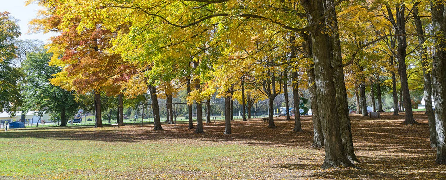 Camper submitted image from Paris Park - 2