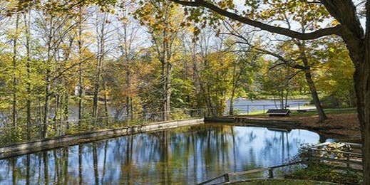 Camper submitted image from Paris Park