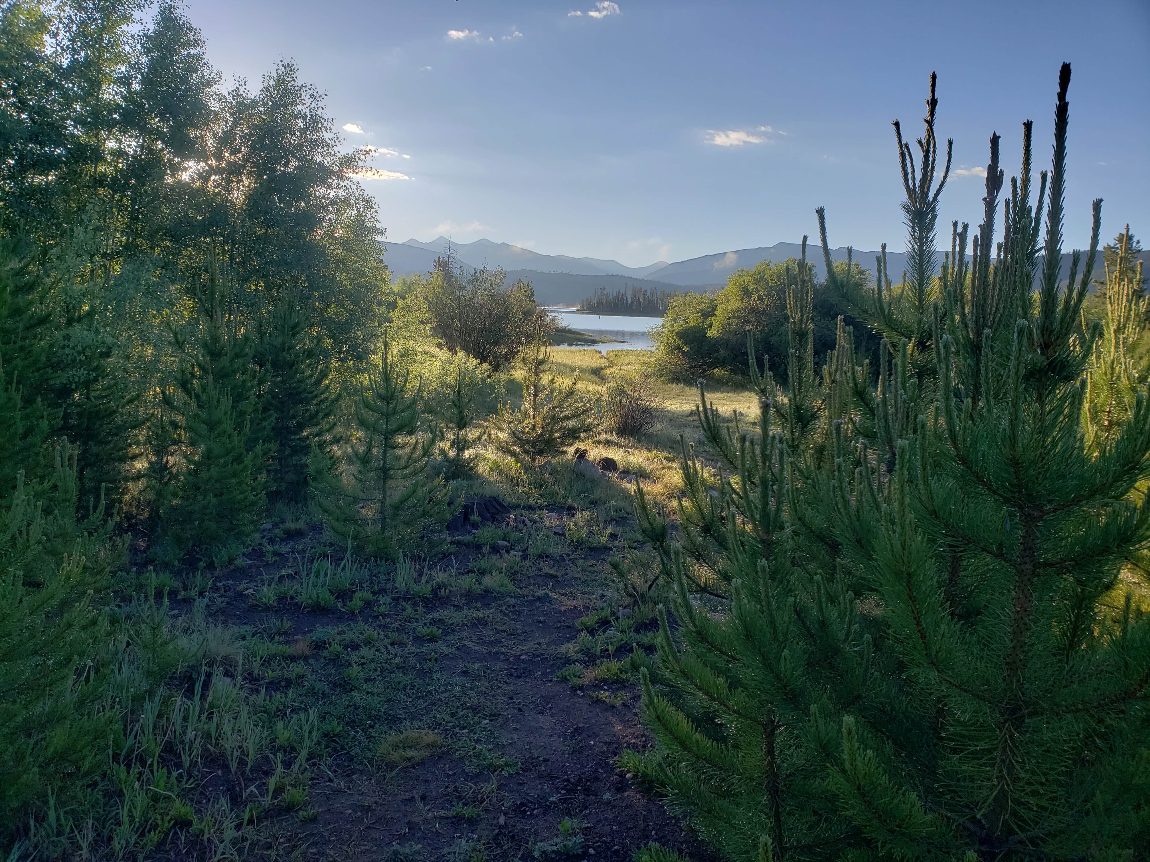 Camper-submitted photo at White River National Forest Heaton Bay Campground near Montezuma, CO