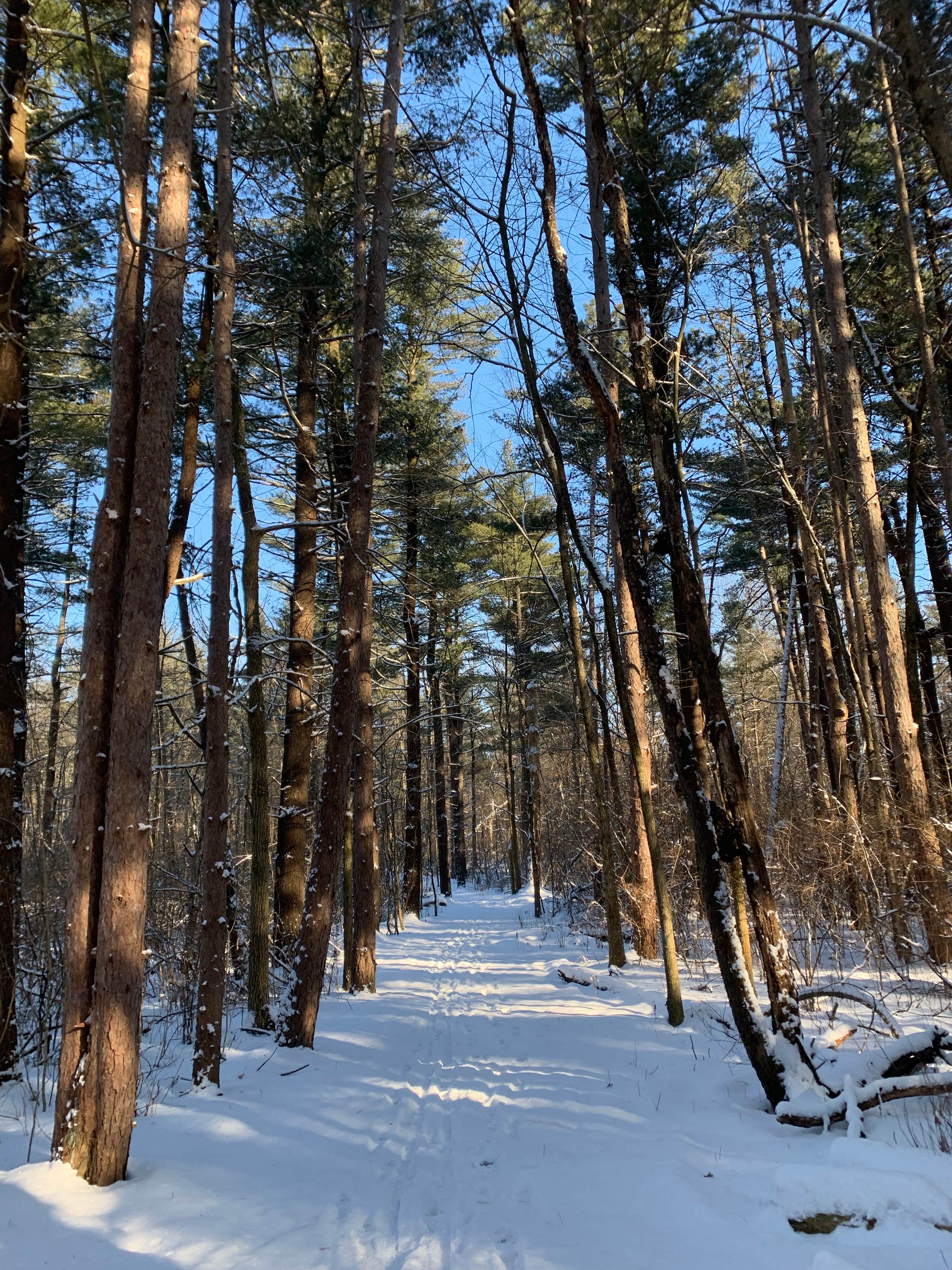 Camper submitted image from Ouabache State Park Campground - 2