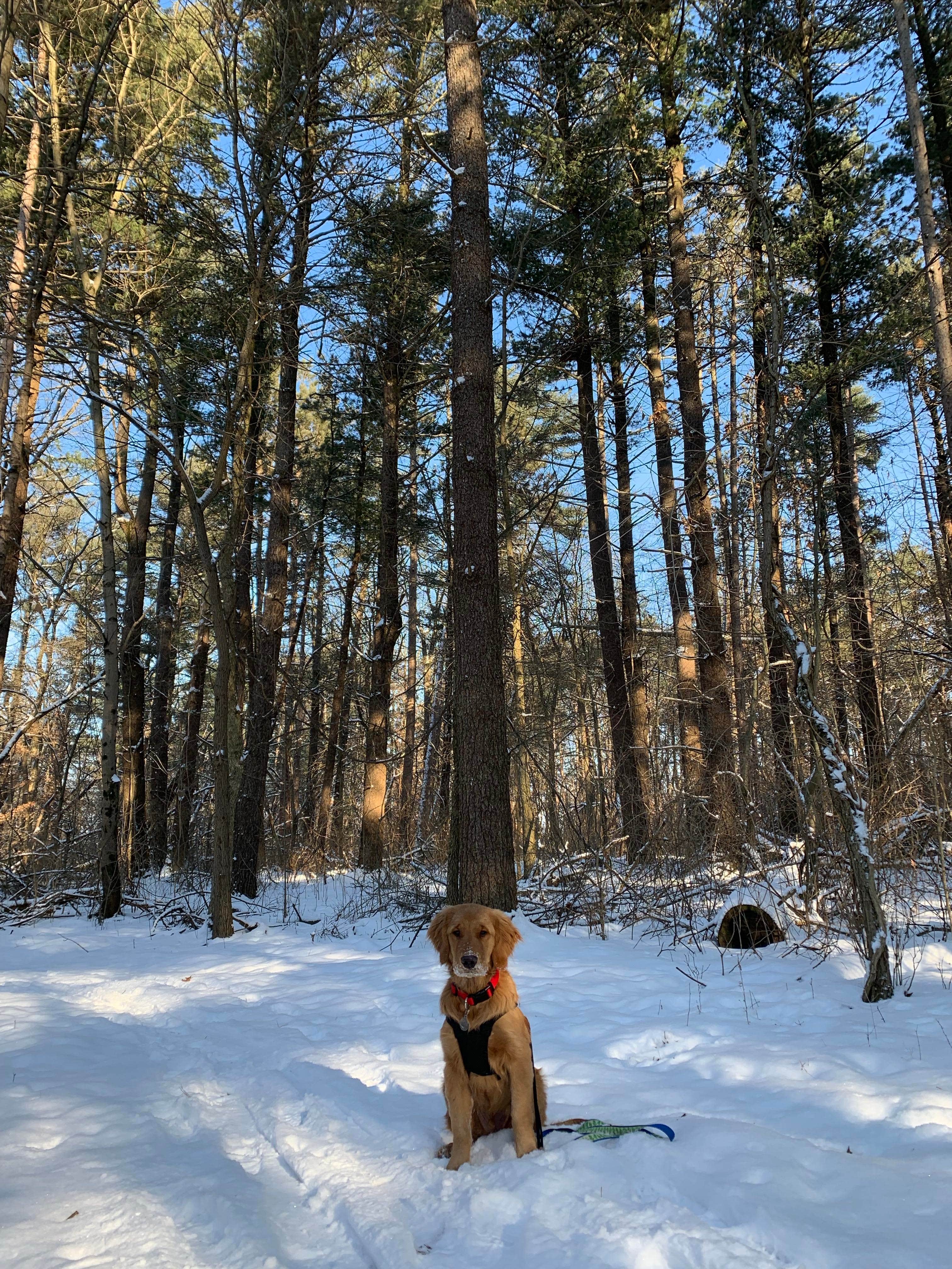 Camper-submitted photo at Ouabache State Park Campground near Arcola, IN