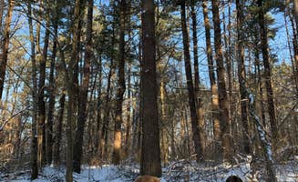 Bethany S.'s photo of camping with pets at Ouabache State Park Campground near New Bremen, OH