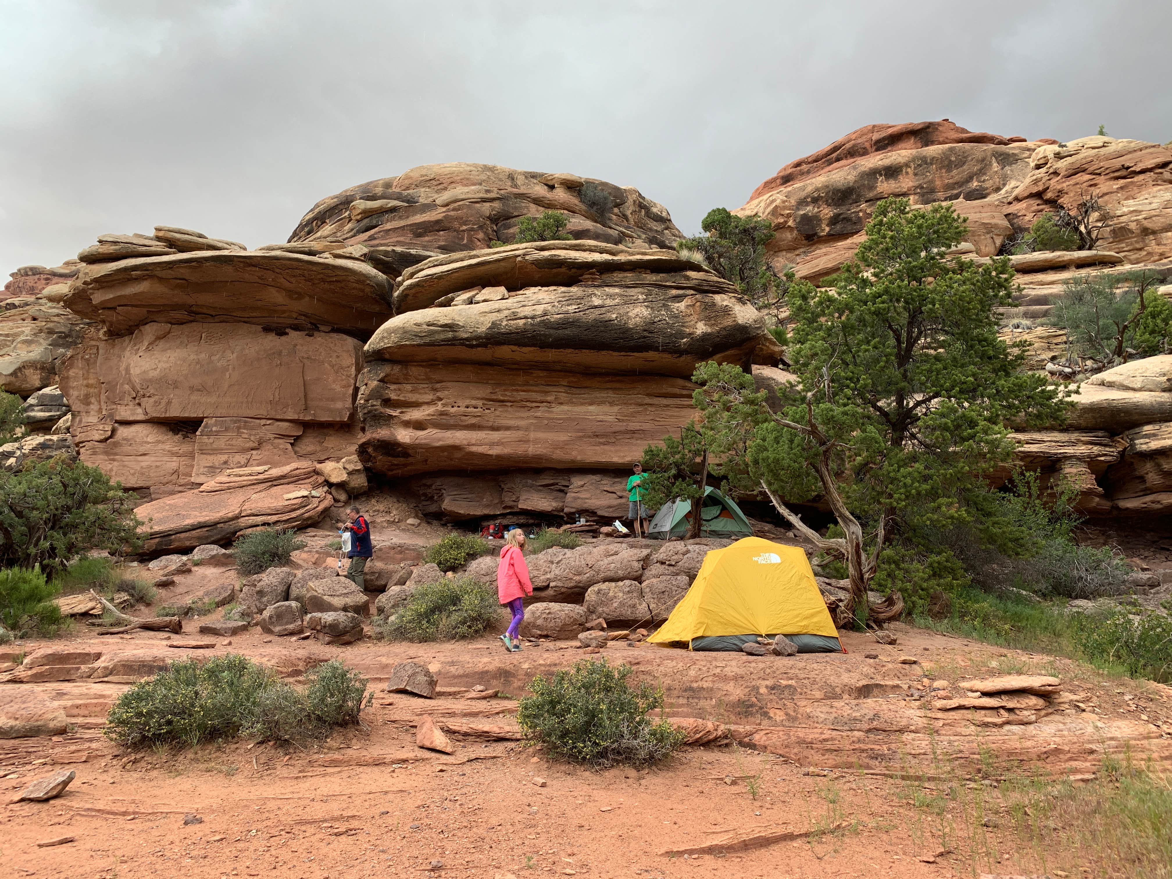 Angee D.'s photo of tent camping at Elephant Canyon 3 (EC3) — Canyonlands National Park near Canyonlands National Park