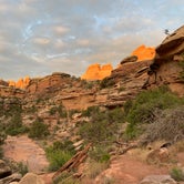 Review photo of Elephant Canyon 3 (EC3) — Canyonlands National Park by Angee D., May 17, 2019