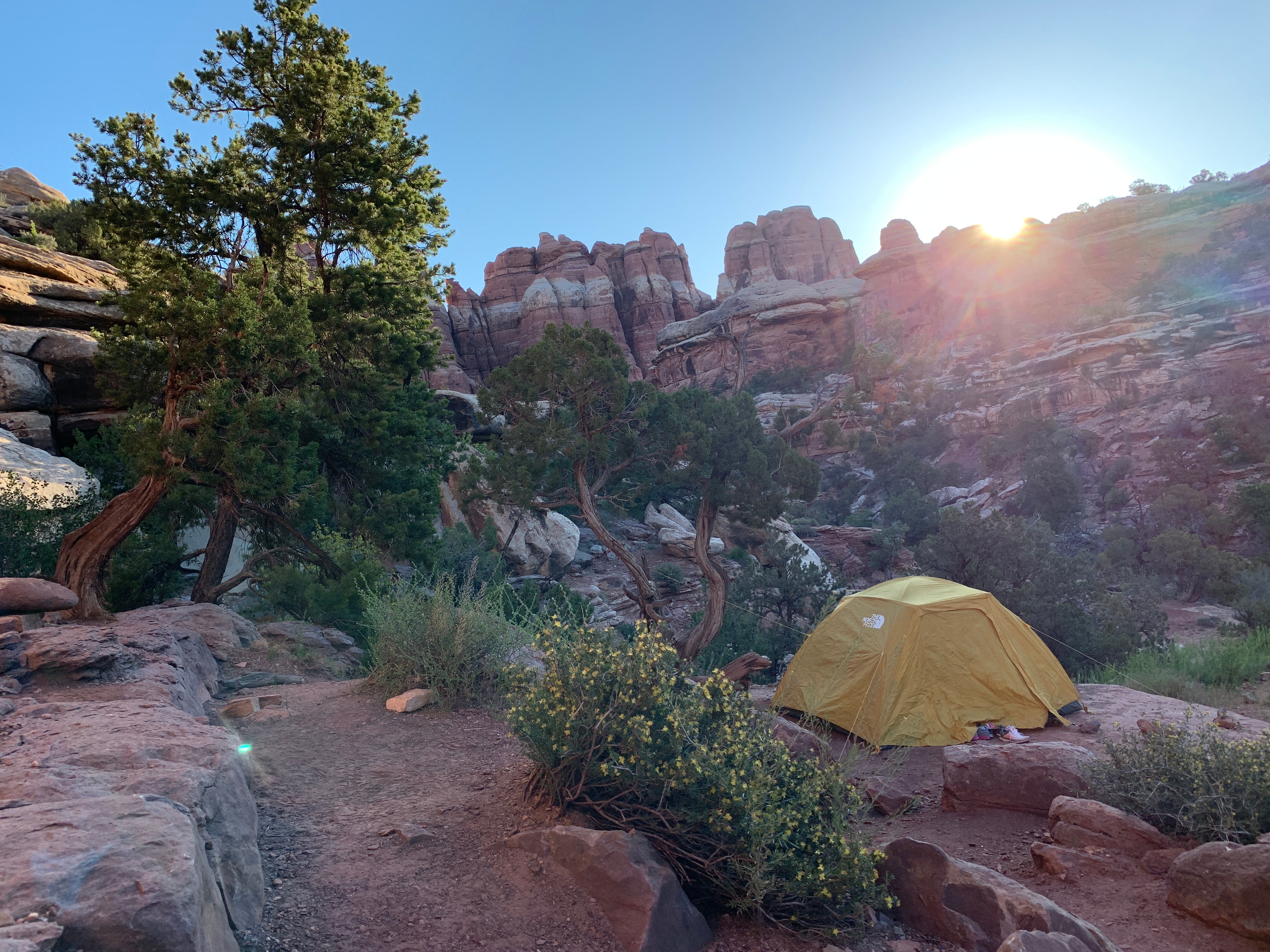 Camper submitted image from Elephant Canyon 3 (EC3) — Canyonlands National Park - 1