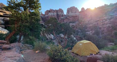 Elephant Canyon 3 (EC3)