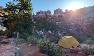 Camping near Wooden Shoe Group Campsite — Canyonlands National Park: Elephant Canyon 3 (EC3) — Canyonlands National Park, Canyonlands National Park, Utah