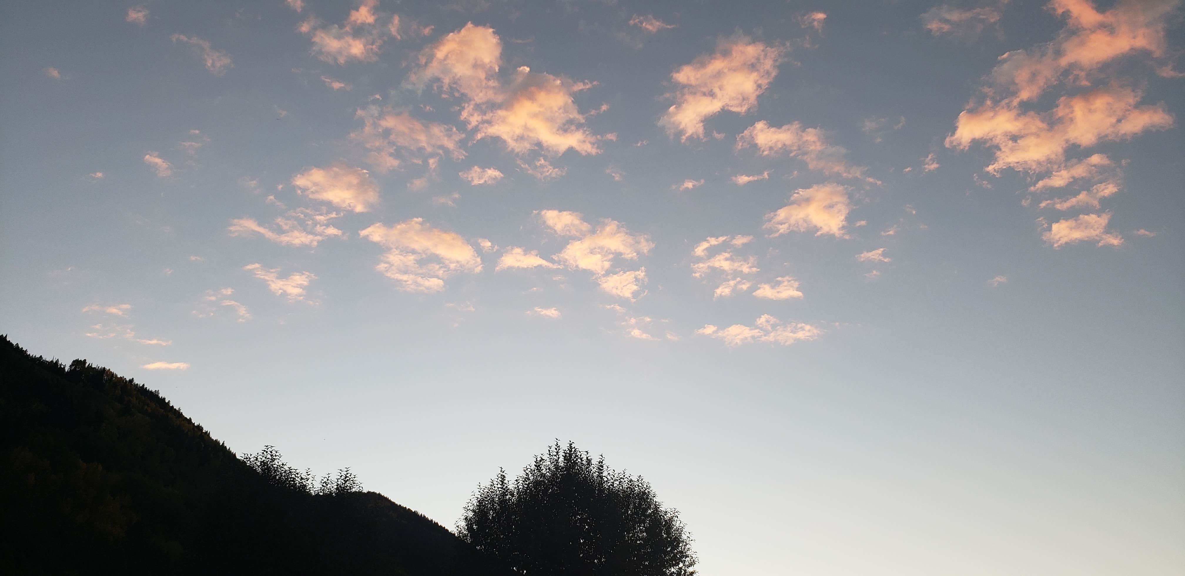 Camper-submitted photo at Telluride Town Park Campground near Ouray, CO