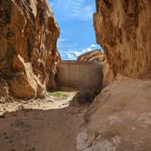 Review photo of Gold Butte National Monument by Michael G., March 16, 2024