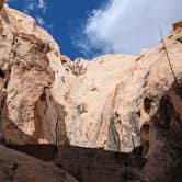 Review photo of Gold Butte National Monument by Michael G., March 16, 2024