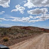 Review photo of Gold Butte National Monument by Michael G., March 16, 2024