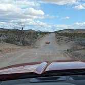 Review photo of Gold Butte National Monument by Michael G., March 16, 2024