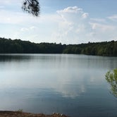 Review photo of Dames Ferry by Peggy H., May 17, 2019
