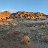 Review photo of Gold Butte National Monument by Michael G., March 16, 2024