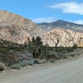 Review photo of Gold Butte National Monument by Michael G., March 16, 2024