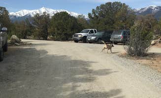 Isabelle K.'s photo of camping with pets at Turtle Rock Campground near Buena Vista, CO