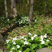 Review photo of High Cliff State Park Campground by Shirwil L., May 17, 2019