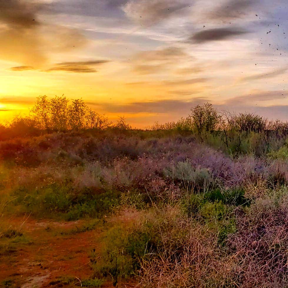 Camper-submitted photo at Potholes State Park Campground near Mattawa, WA