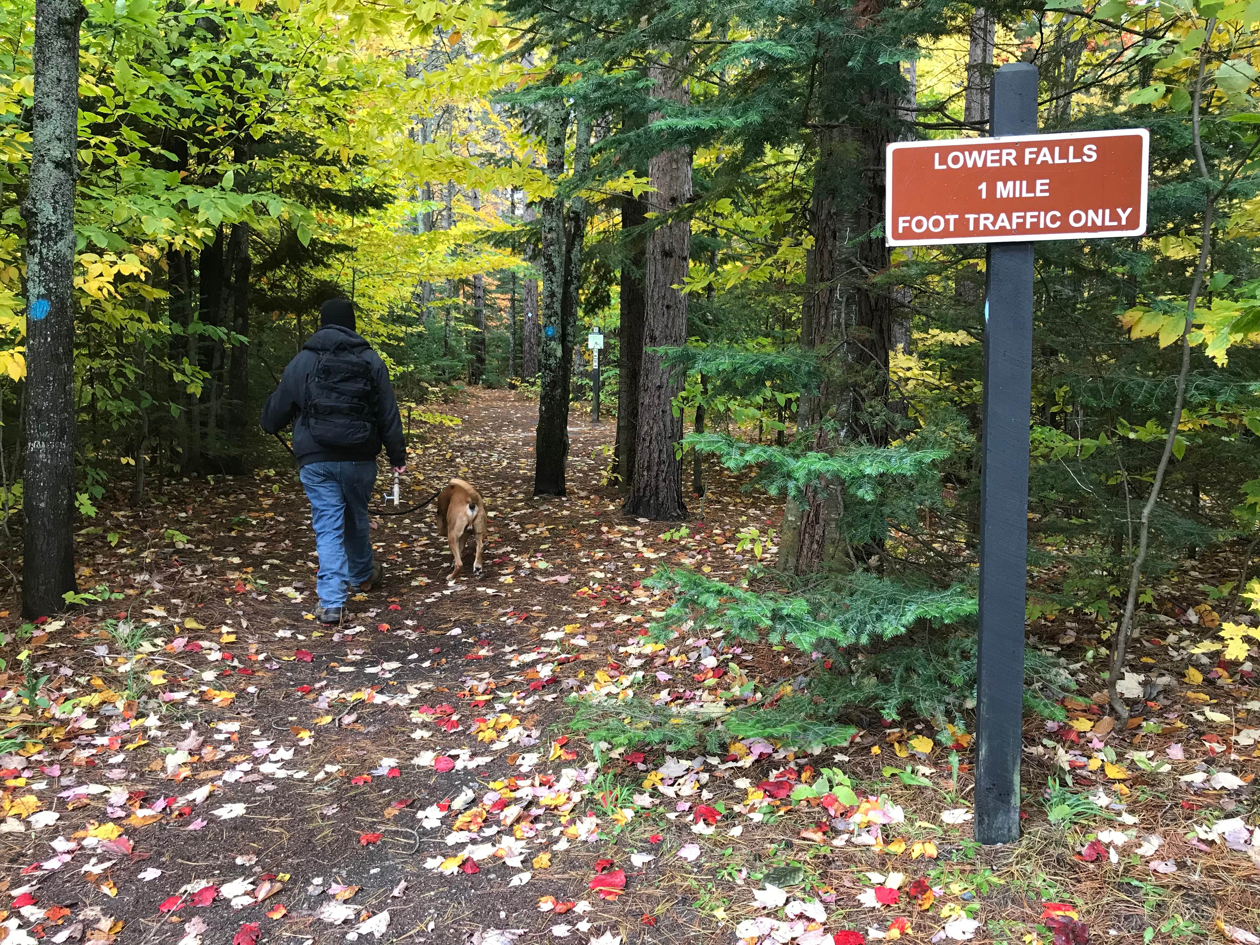 Nikki M.'s photo of camping with pets at Lower Falls Campground — Tahquamenon Falls State Park near Sault Ste. Marie, MI