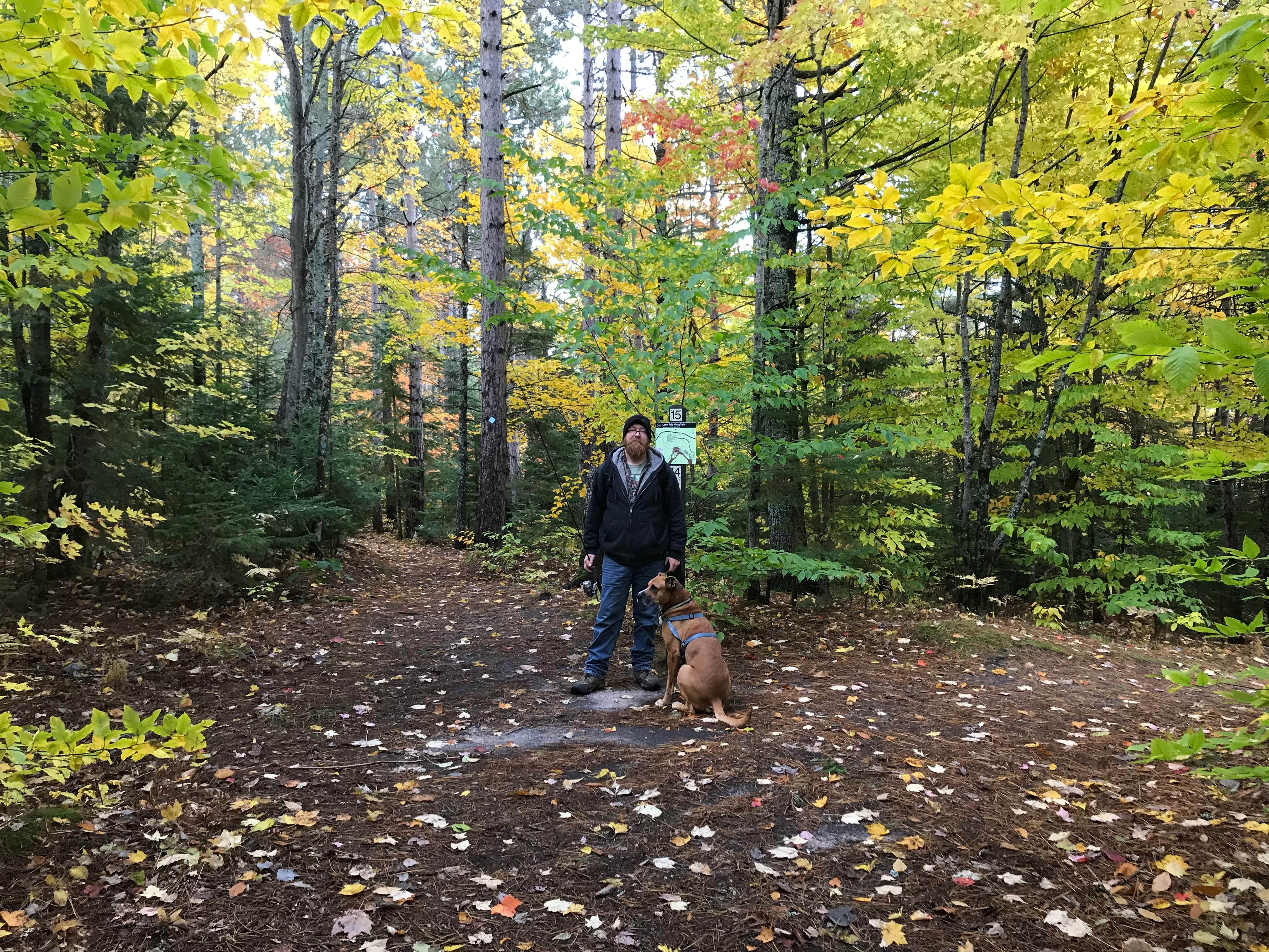 Nikki M.'s photo of camping with pets at Lower Falls Campground — Tahquamenon Falls State Park in Michigan