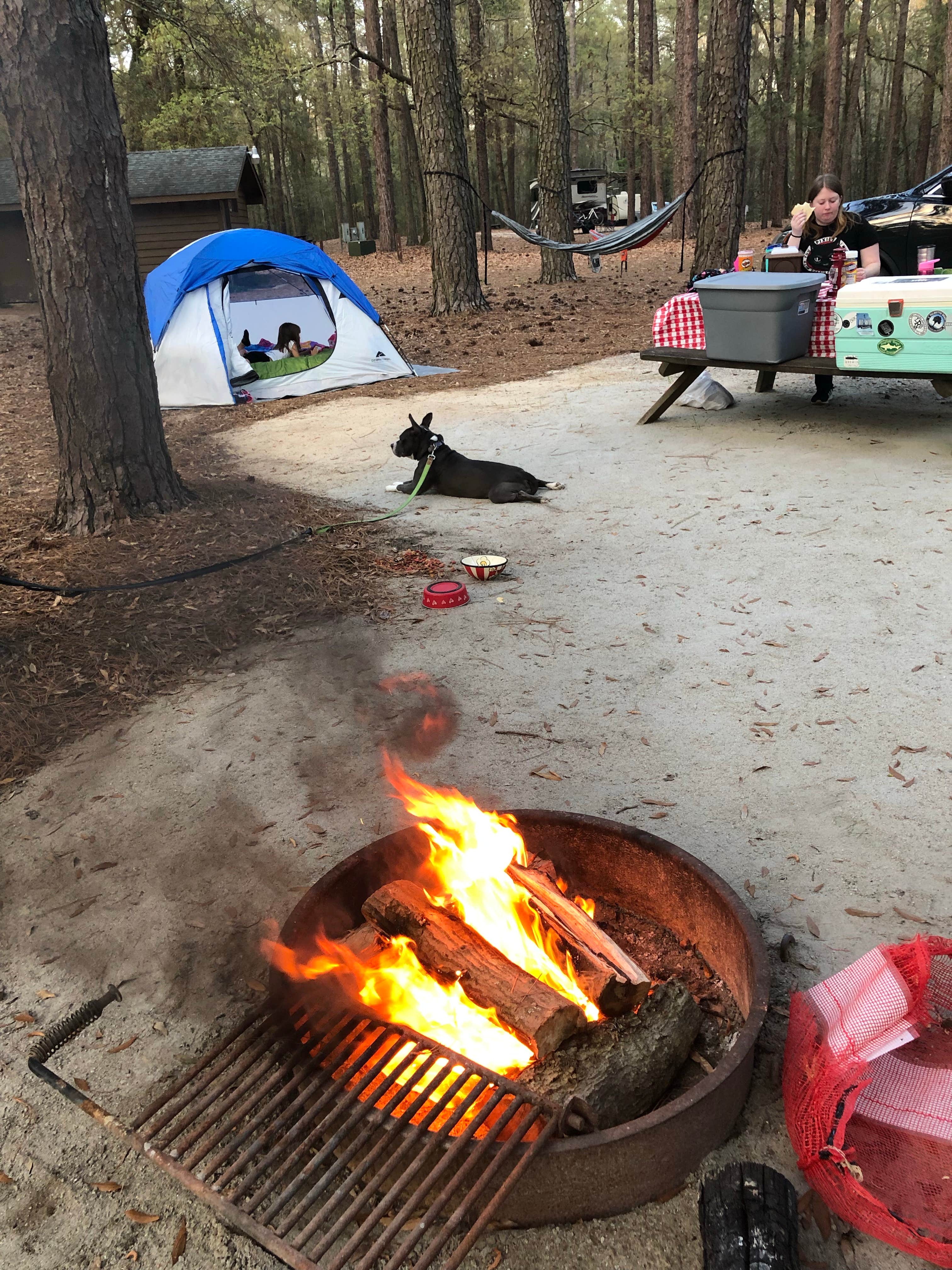 Camper-submitted photo at Lee State Park Campground near Elgin, SC