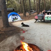 Review photo of Lee State Park Campground by John P., May 18, 2019