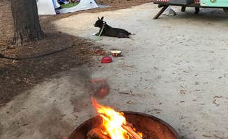 John P.'s photo at Lee State Park Campground near Hartsville, SC