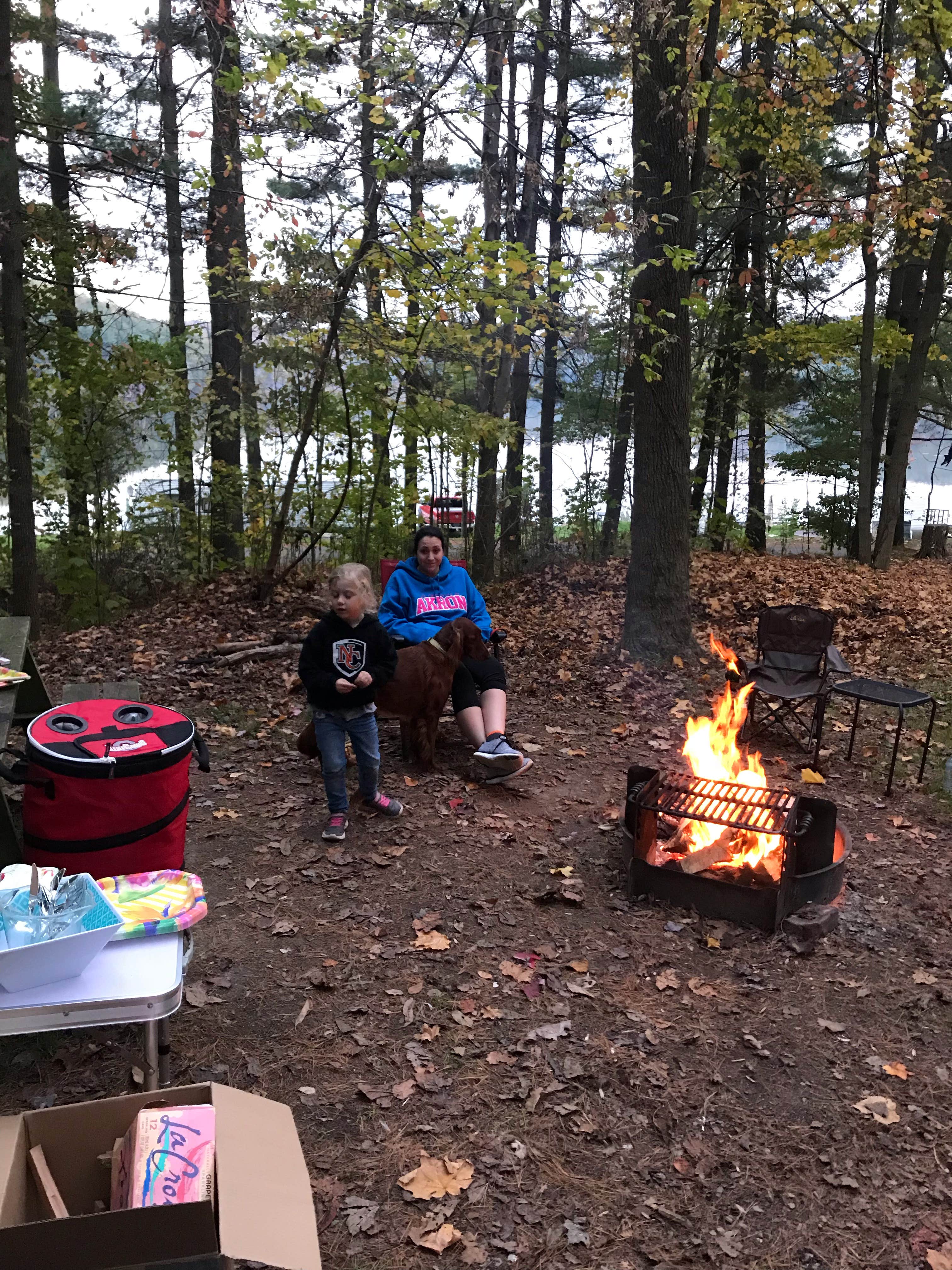 Camper submitted image from Clendening Lake Marina & Campground - 3