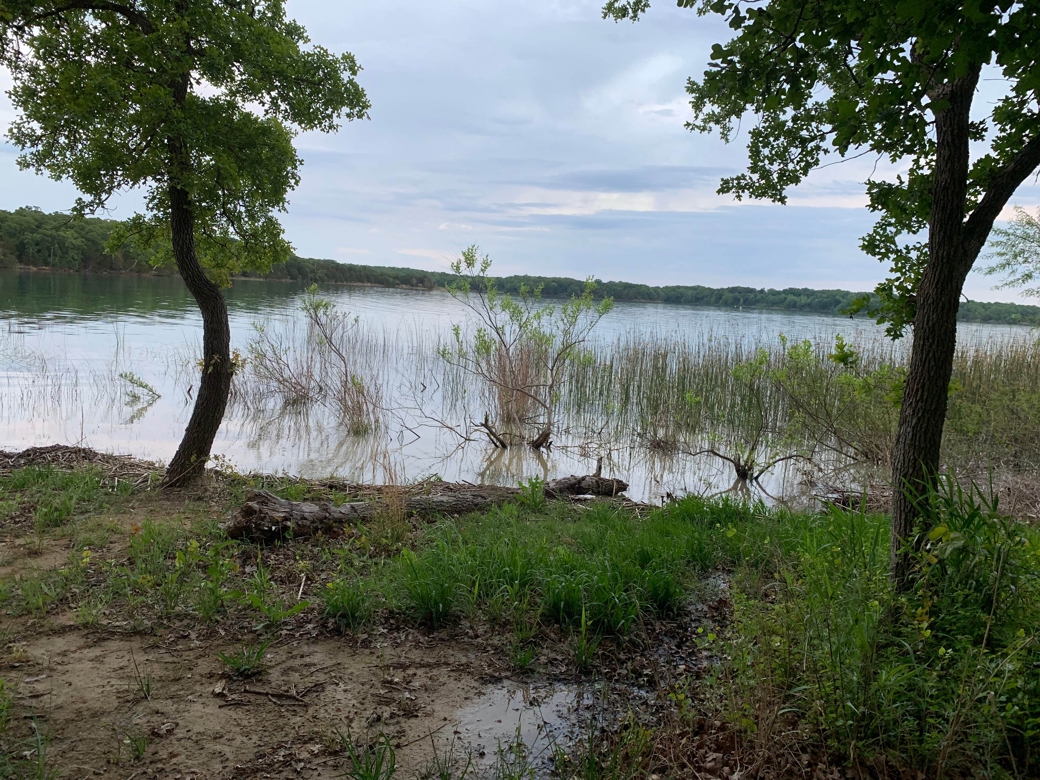 Camper submitted image from Rock Tower — Lake Murray State Park - 5