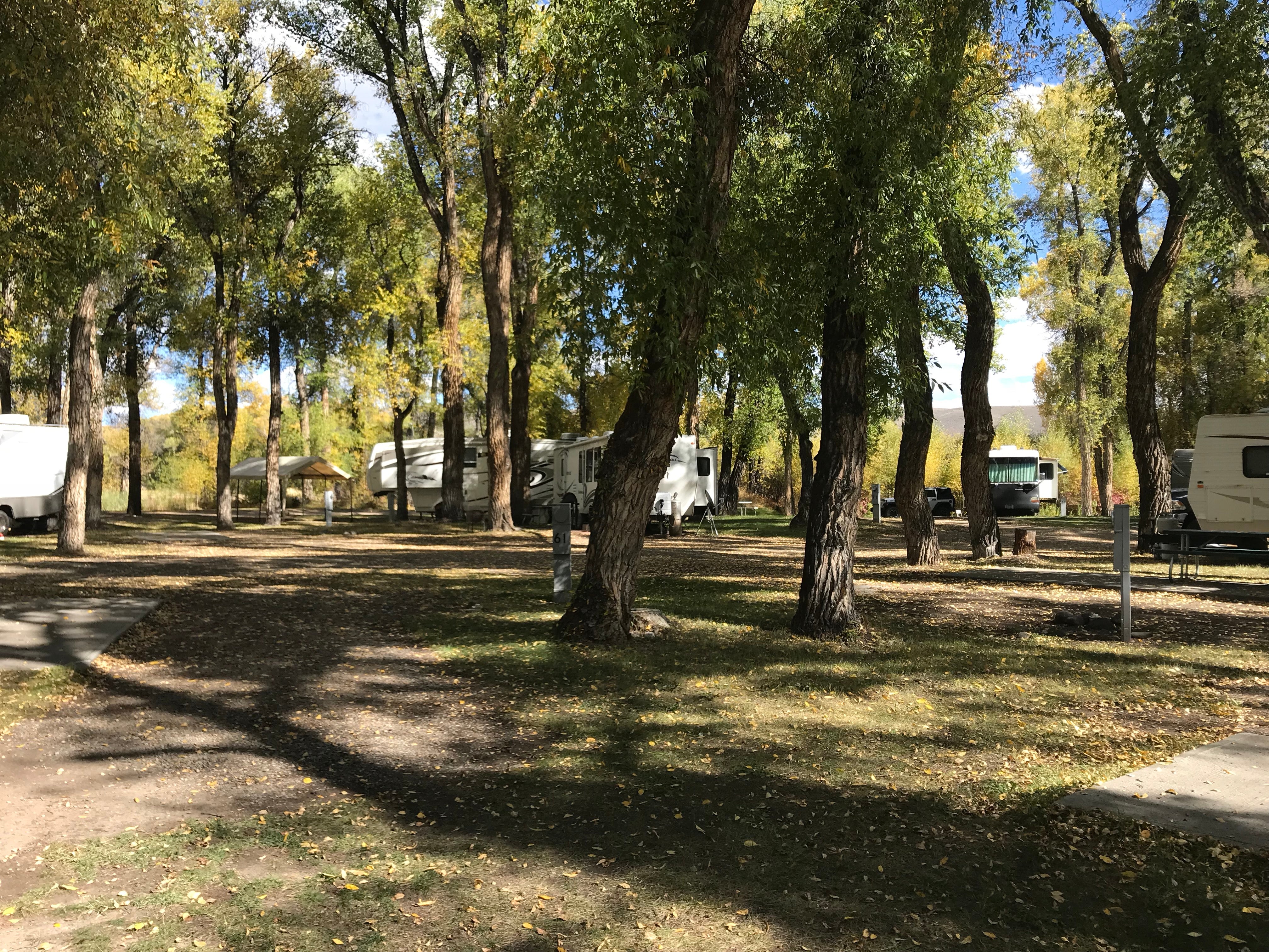 Camper submitted image from Tall Texan RV Park & Cabins - 2