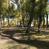 Review photo of Tall Texan RV Park & Cabins by Robert E., May 18, 2019