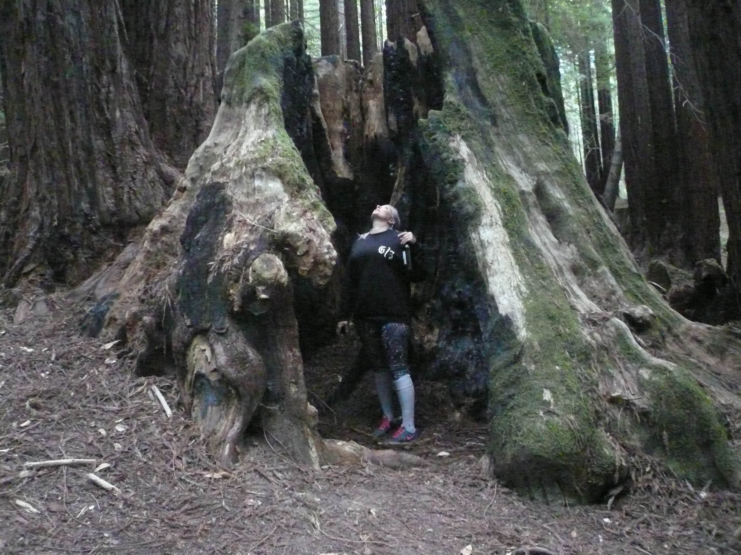 Camper-submitted photo at Hidden Springs Campground — Humboldt Redwoods State Park near Bridgeville, CA