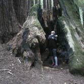 Review photo of Hidden Springs Campground — Humboldt Redwoods State Park by Jeff B., August 5, 2016