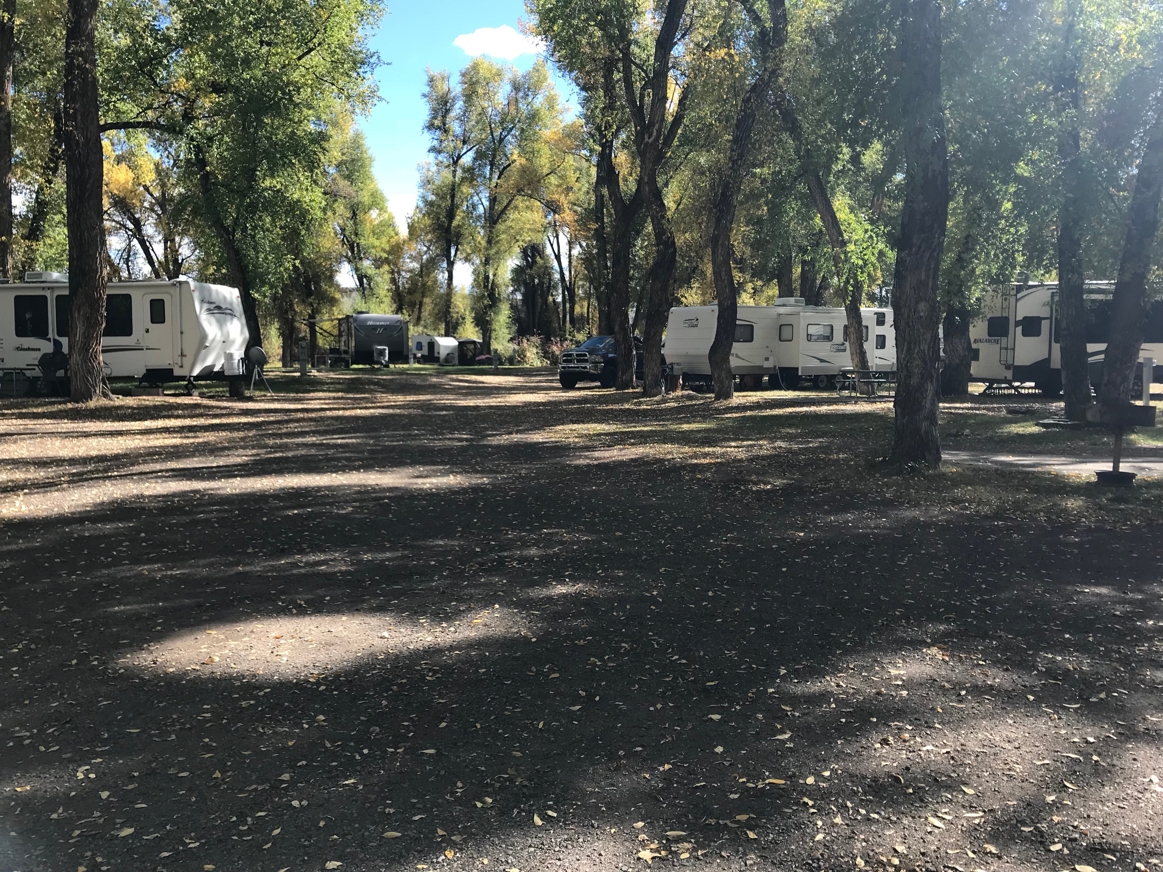 Camper submitted image from Tall Texan RV Park & Cabins - 5