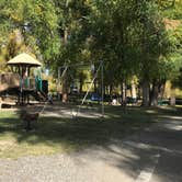 Review photo of Tall Texan RV Park & Cabins by Robert E., May 18, 2019