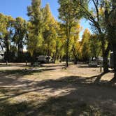 Review photo of Tall Texan RV Park & Cabins by Robert E., May 18, 2019