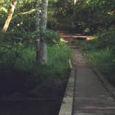 Review photo of Amicalola Falls State Park Camping by Joel R., May 18, 2019