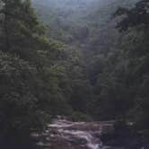 Review photo of Amicalola Falls State Park Camping by Joel R., May 18, 2019