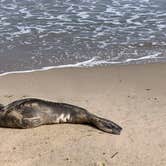 Review photo of Point Mugu Recreation Facility by Jennifer D., May 18, 2019