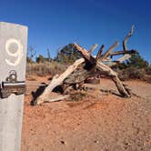 Review photo of Devils Garden Campground — Arches National Park by Kevin L., March 23, 2015