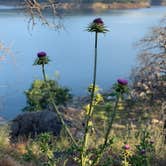 Review photo of Pine Flat Campground by Jennifer D., May 18, 2019