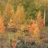 Review photo of Aspen Grove (uinta-wasatch-cache National Forest, Ut) by Valerie , August 29, 2016