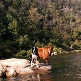 Review photo of Buffalo Point — Buffalo National River by Joel R., May 18, 2019