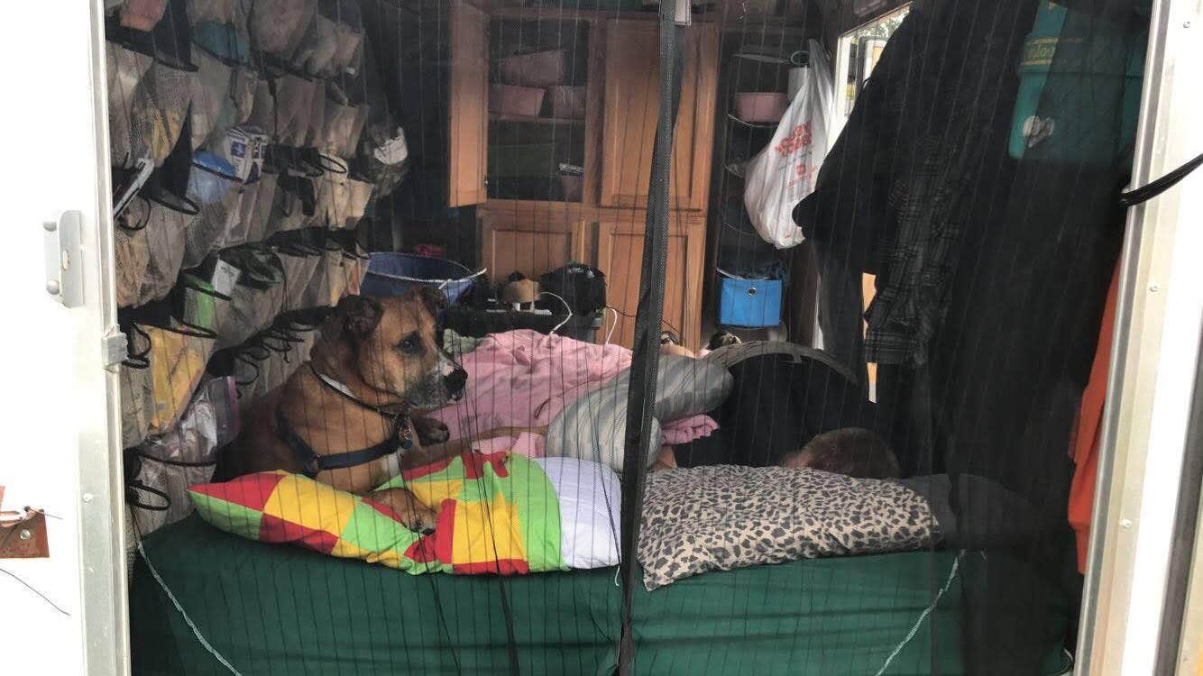 Nikki M.'s photo of glamping accommodations at Aloha State Park Campground near Gaylord, MI