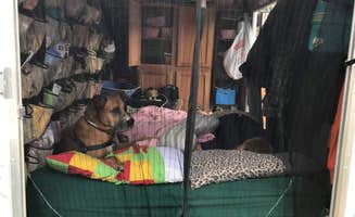 Nikki M.'s photo of glamping accommodations at Aloha State Park Campground near Ellsworth, MI