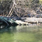 Review photo of Platte River Campground — Sleeping Bear Dunes National Lakeshore by Nikki M., April 13, 2019